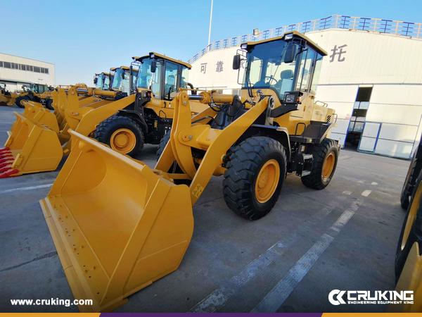 Loader Driving Axle Faults, Maintenance, And Repair Guide